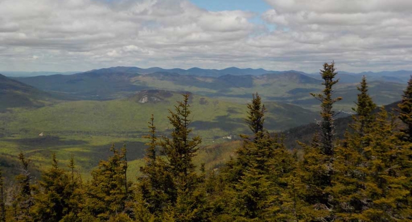 Evergreen trees appear in the foreground before a vast green mountain area 